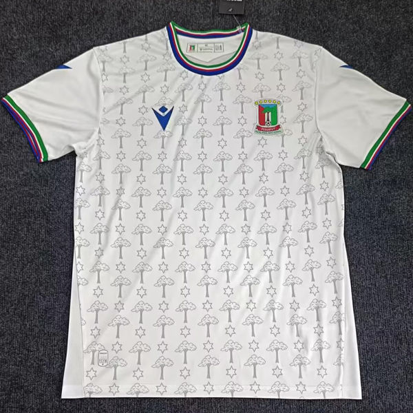 2026/27 Guinea Home White Fans Soccer Jersey 几内亚