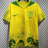 2026/27 Brazil Special Edition Fans Soccer Jersey