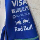 2026 Red Bull Racing F1 Team POLO T-Shirt 有领