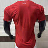 2026/27 Wales Home Red Player Version Soccer Jersey
