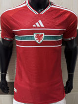 2026/27 Wales Home Red Player Version Soccer Jersey