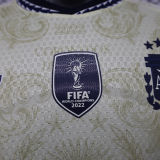 2026/27 Argentina Special Edition Player Version Soccer Jersey