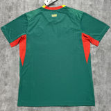 2026/27 Senegal Away Green Fans Soccer Jersey  (Have Right Patch 有右臂章 白底黑字）