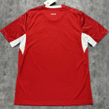 2026/27 Switzerland Home Red Fans Soccer Jersey (Have Right Patch 有右臂章 白底黑字）