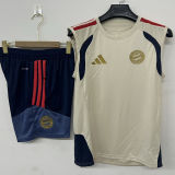 2026/27 BFC Training Vest Jersey (A Set)