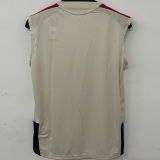 2026/27 BFC Training Vest Jersey