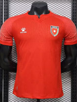 26-27 Jordan Away Player Version Soccer Jersey