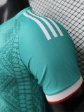 26-27 Algeria Green Special Edition Player Version Training shirts