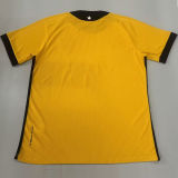 26-27 Botafogo Yellow Goalkeeper Soccer Jersey
