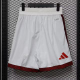 26-27 ARS Home Player Version Shorts Pants (球员短裤)