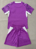 26-27 PSV Purple Goalkeeper Kids Soccer Jersey