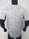 26-27 Ivory Coast White Special Edition Player Version Soccer Jersey
