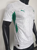 26-27 Ivory Coast White Special Edition Player Version Soccer Jersey