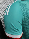 26-27 Algeria Green Special Edition Player Version Training shirts