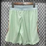26-27 France Away Player Version Shorts Pants (浅绿色)(球员短裤)
