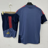 26-27 Bayern Gray Training Short Suit