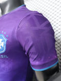 26-27 Brazil Purple Special Edition Player Version Training shirts