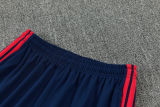 26-27 Bayern Royal blue Training Short Suit