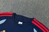 26-27 Bayern Royal blue Training Short Suit