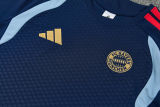 26-27 Bayern Royal blue Training Short Suit