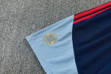 26-27 Bayern Royal blue Training Short Suit