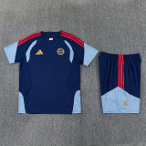 26-27 Bayern Royal blue Training Short Suit