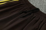 26-27 Flamengo Khaki Training Short Suit