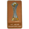 AC CHAMPIONS 2007 (冠军2007)