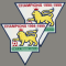 PreL Champion1998/1999 (英超金)双袖