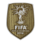 FFWCC2014 (世界杯胸前冠)