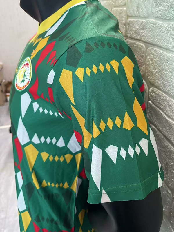2024 Senegal Green Player Version Soccer Jersey