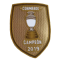 CAMPEON 2019 (美洲杯2019冠军盾)