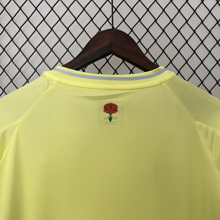24-25 Spain Away 1:1 Fans Soccer Jersey