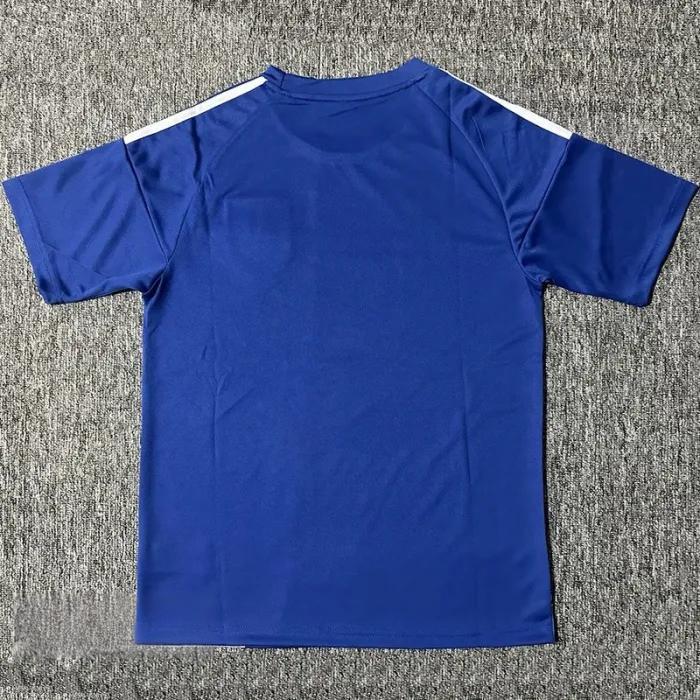 25-26 Japan Blue Special Edition Fans Soccer Jersey *赛亚人