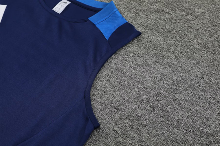 2024 AD Royal blue Tank top and shorts suit