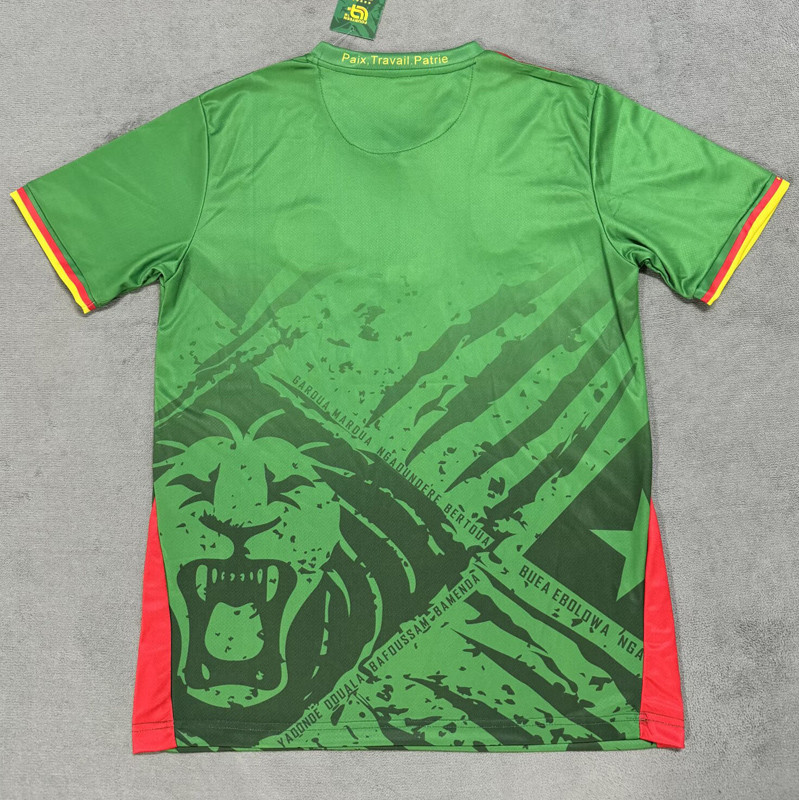 25-26 Cameroon Home Fans Soccer Jersey