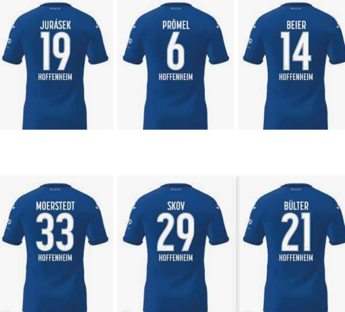 24-25 Hoffenheim Home Fans Soccer Jersey 霍芬海姆