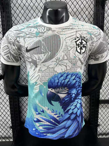 25-26 Brazil Grey Blue Special Edition Player Version Soccer Jersey