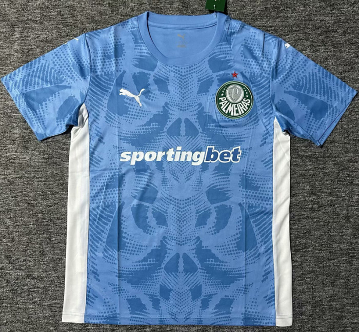 25-26 Palmeiras Blue Goalkeeper Soccer Jersey