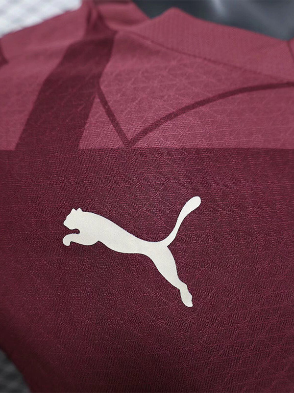 24-25 Man City Third Long Sleeve Player Version Soccer Jersey (长袖球员)