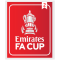 FA CUP (英足总杯2次)