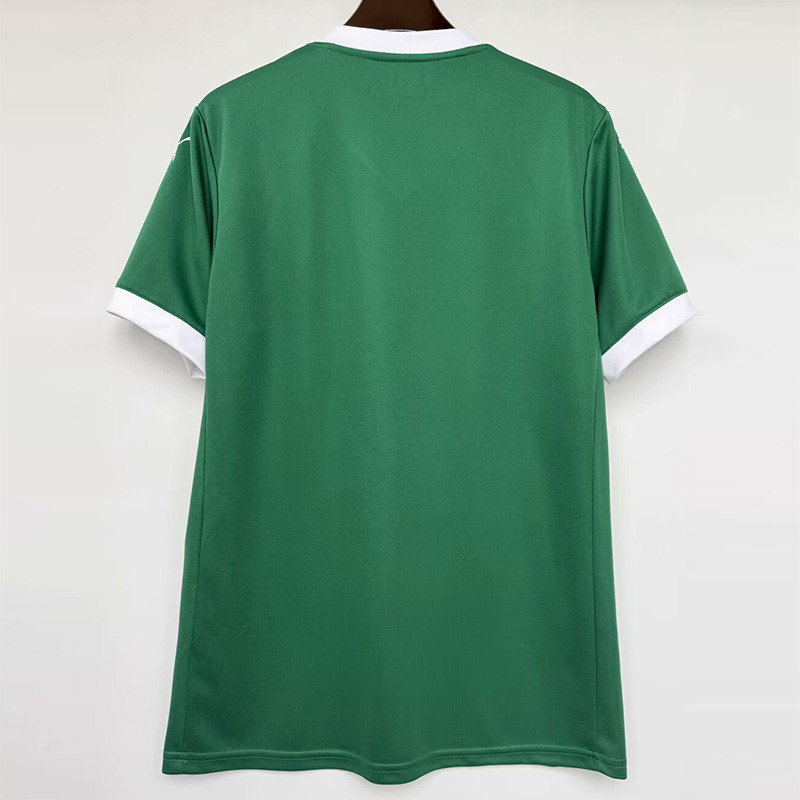 25-26 Palmeiras Home 1:1 Fans Soccer Jersey