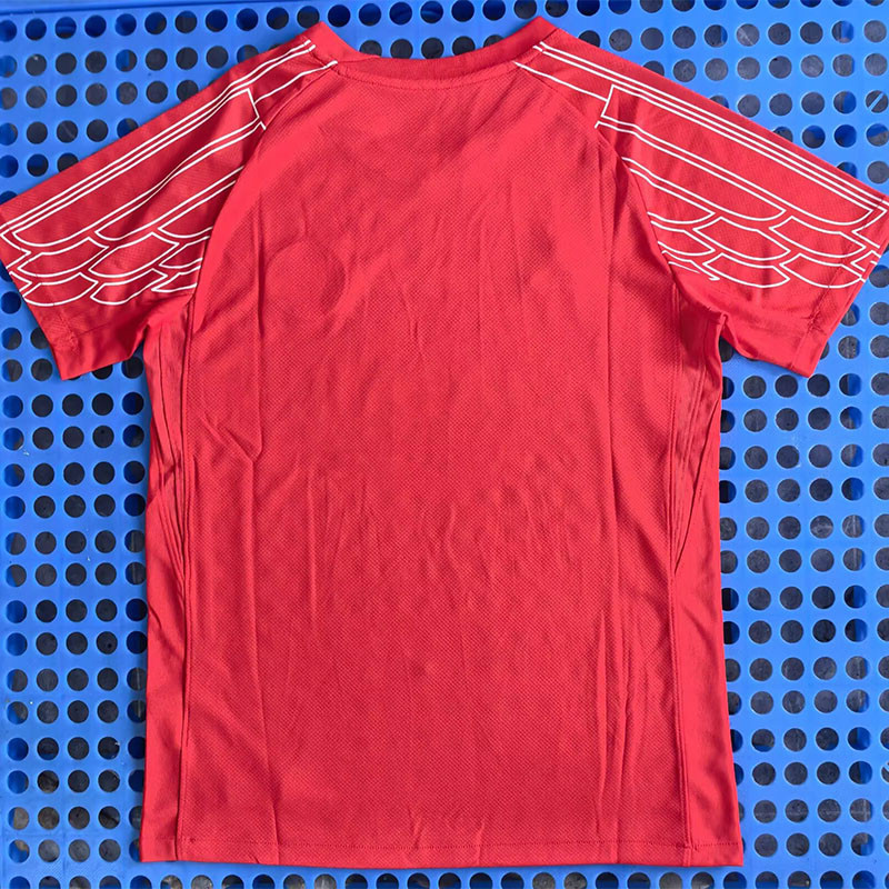 24-25 PSG Red Fans Training shirts