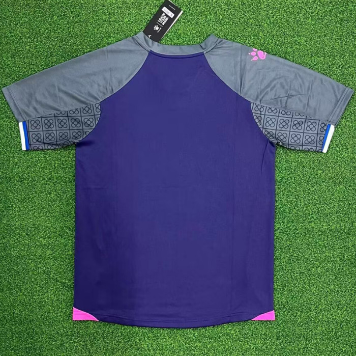 24-25 RCD Espanyol Away Fans Soccer Jersey