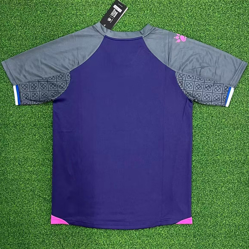 24-25 RCD Espanyol Away Fans Soccer Jersey