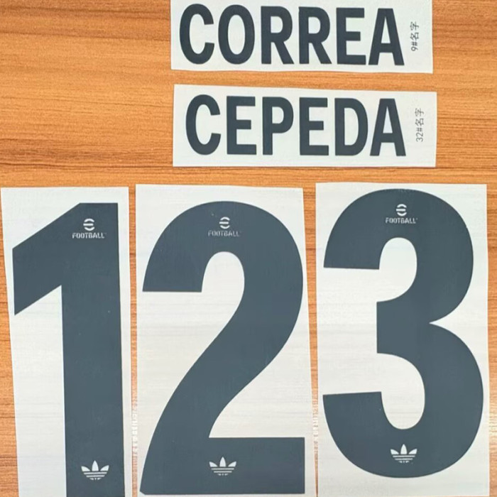 25-26 Colo-Colo 100th Anniversary White Fans Soccer Jersey