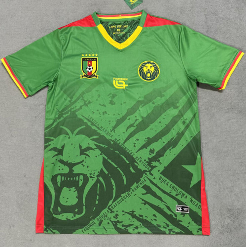 25-26 Cameroon Home Fans Soccer Jersey
