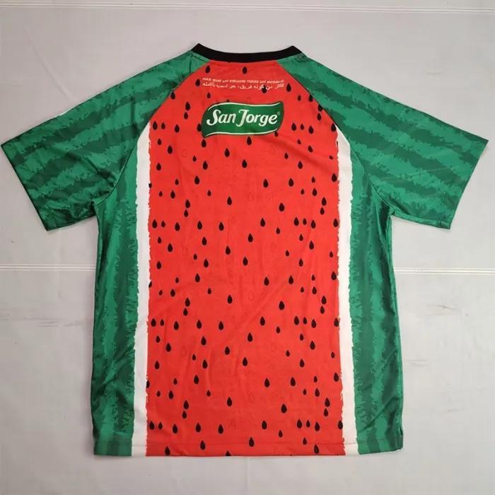 25-26 Deportivo Palestino Special Edition Third Fans Soccer Jersey