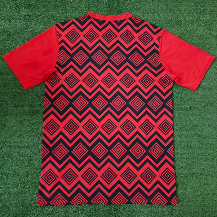 24-25 Egypt Red Training shirts