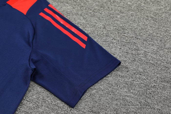 2024 AD Royal blue Training Short Suit